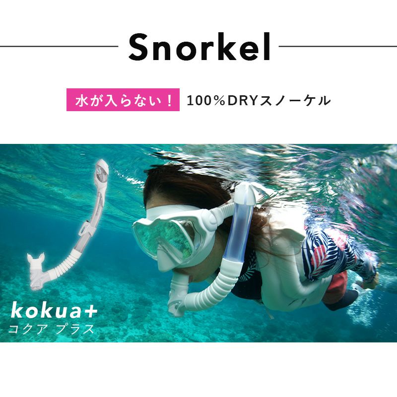 ≪一年間製品保証＆送料無料≫プレゼント付きシュノーケルセットドライスノーケルHeleiWahoヘレイワホKalamaシュノーケリングセットマスクスノーケル2点セット大人子供水中メガネドライシュノーケルメッシュバッグ付き