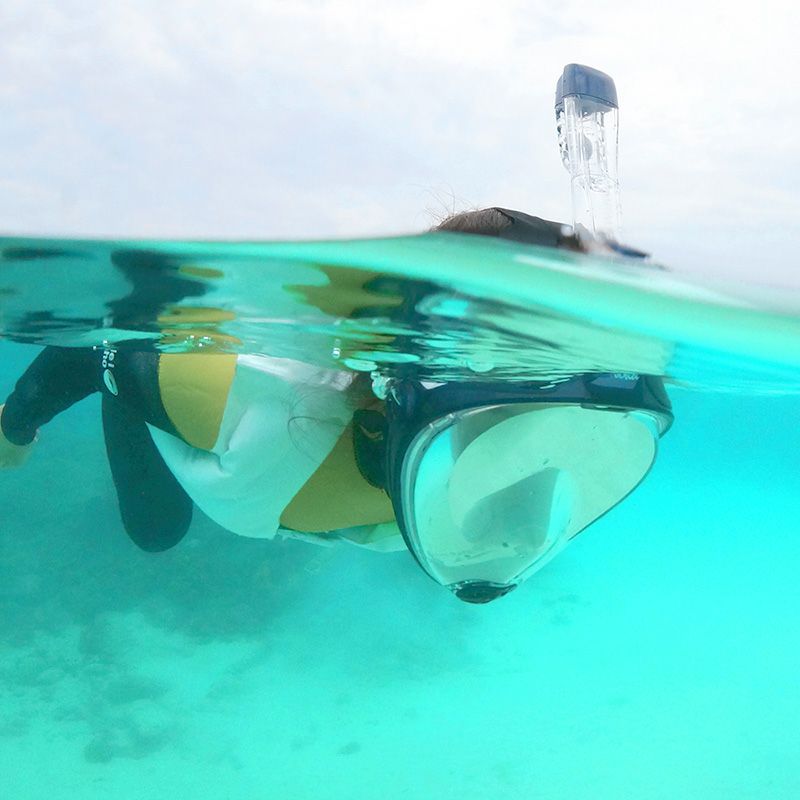 シュノーケルマスクフルフェイスセットHeleiWahoヘレイワホドライシュノーケル2点シュノーケリングセット