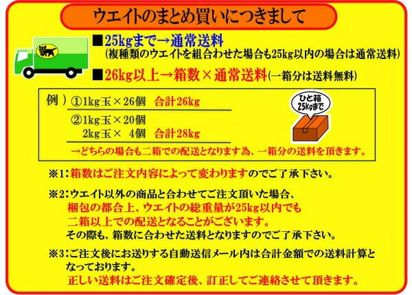 ウエイトGULL/ガルカラーウエイト2kgGG-4691Bスノーケリングダイビングアウトドアウエイトマリンスポーツスイム