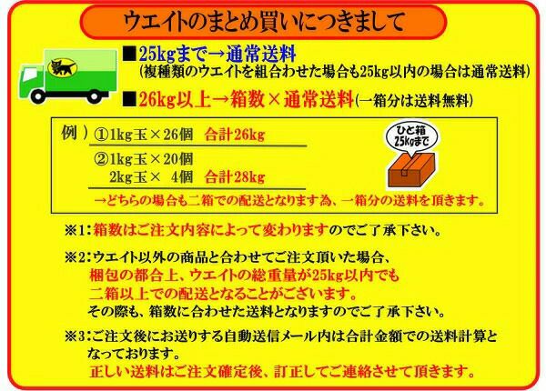 ウエイトGULL/ガルカラーウエイト1kgGG-4690Cスノーケリングダイビングアウトドアウエイトマリンスポーツスイム