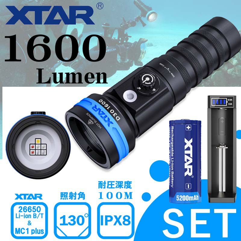 D30 1600 (電池 充電器 付属)