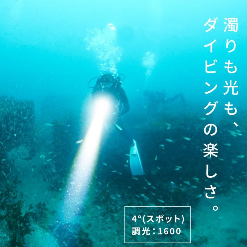 D40ZOOM1600adjustableBeam(Fullset)AF063002